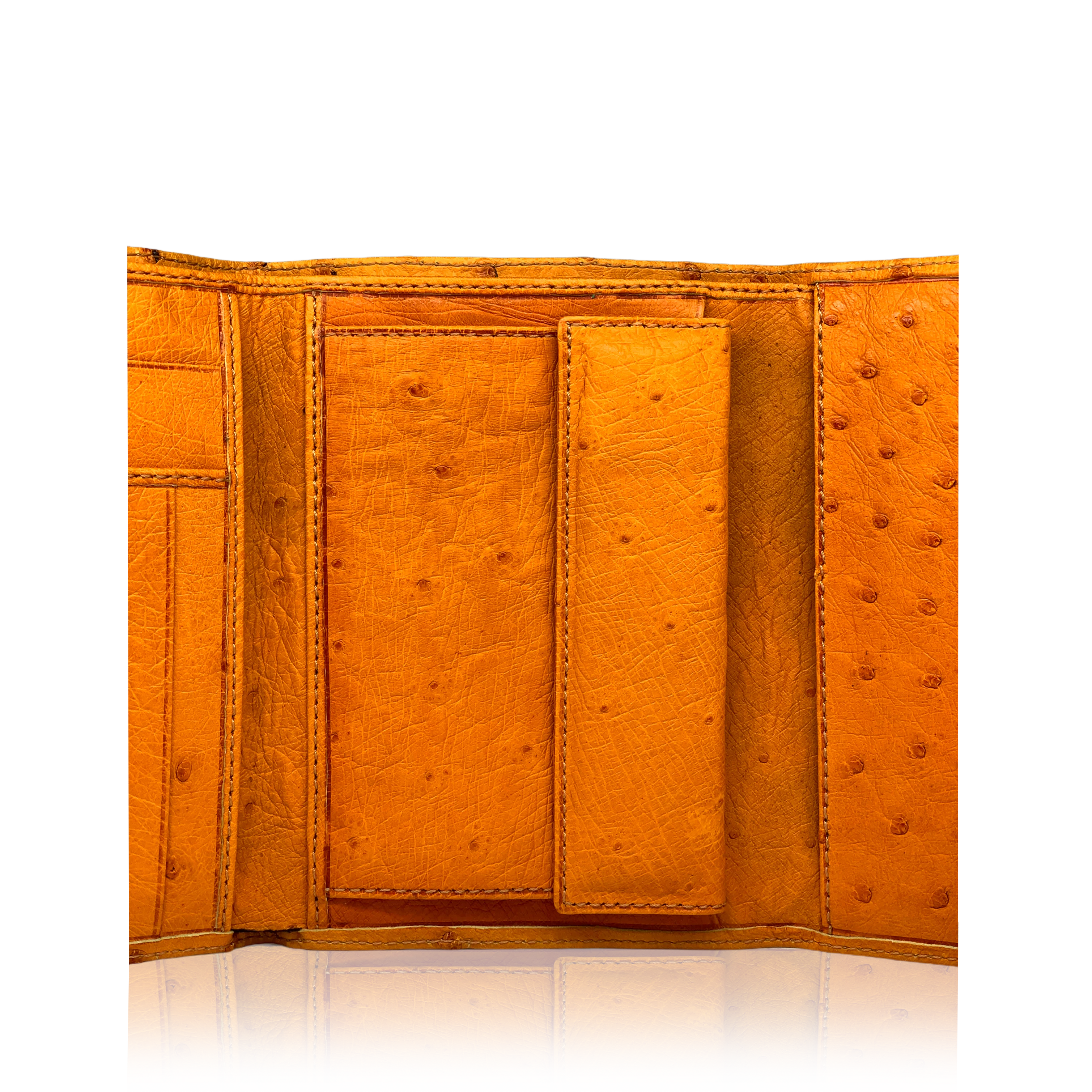 Portafoglio Orange in struzzo - arancione - Image 8
